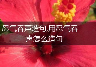 忍气吞声造句,用忍气吞声怎么造句