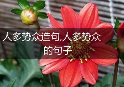 人多势众造句,人多势众的句子
