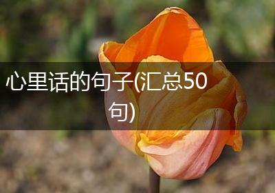 心里话的句子(汇总50句)
