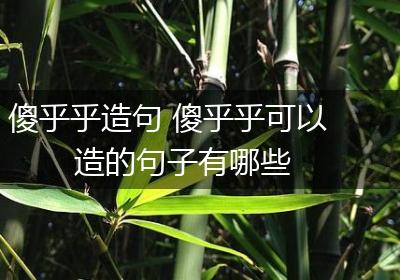 傻乎乎造句 傻乎乎可以造的句子有哪些