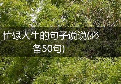 忙碌人生的句子说说(必备50句)