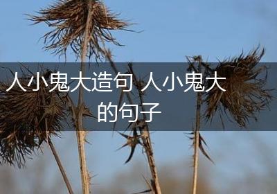 人小鬼大造句 人小鬼大的句子