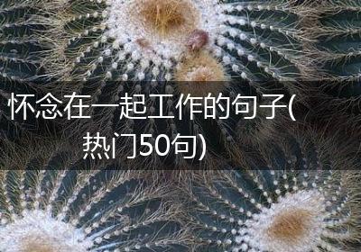 怀念在一起工作的句子(热门50句)