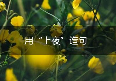 用“上夜”造句