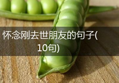 怀念刚去世朋友的句子(10句)