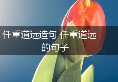 任重道远造句 任重道远的句子