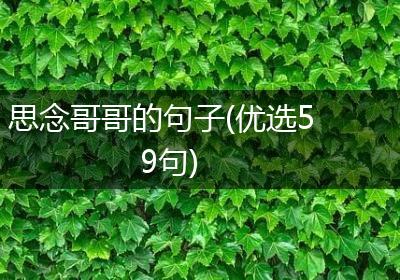 思念哥哥的句子(优选59句)