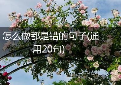 怎么做都是错的句子(通用20句)