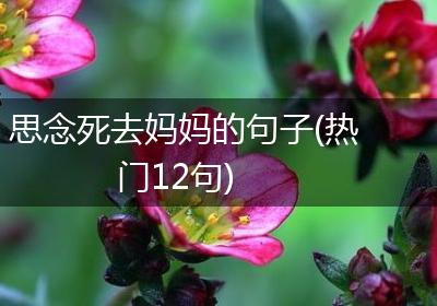 思念死去妈妈的句子(热门12句)