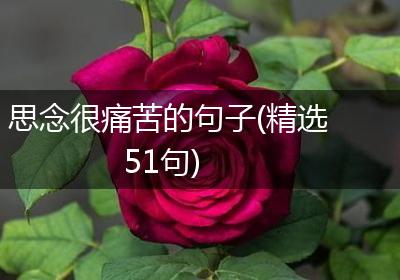 思念很痛苦的句子(精选51句)