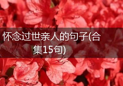 怀念过世亲人的句子(合集15句)