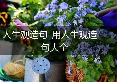人生观造句_用人生观造句大全