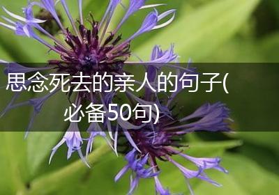 思念死去的亲人的句子(必备50句)