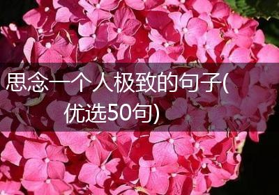 思念一个人极致的句子(优选50句)