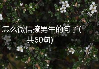 怎么微信撩男生的句子(共60句)
