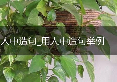 人中造句_用人中造句举例