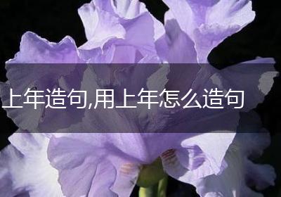 上年造句,用上年怎么造句