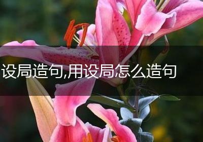 设局造句,用设局怎么造句