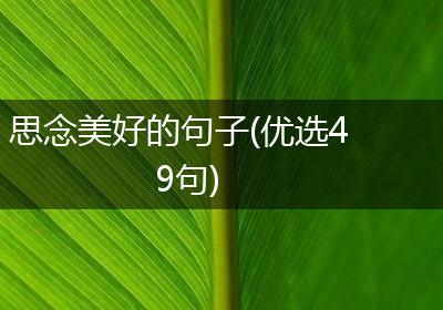 思念美好的句子(优选49句)