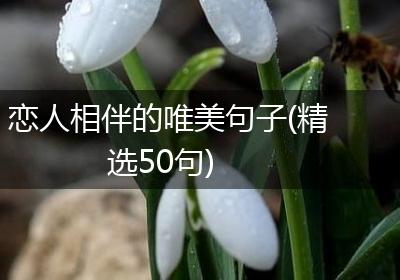 恋人相伴的唯美句子(精选50句)