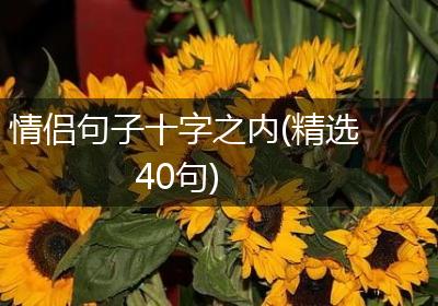 情侣句子十字之内(精选40句)