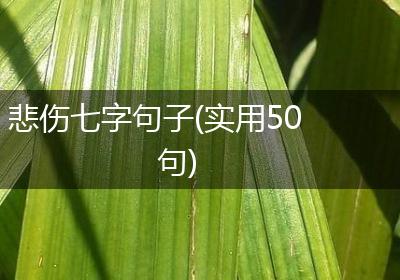 悲伤七字句子(实用50句)