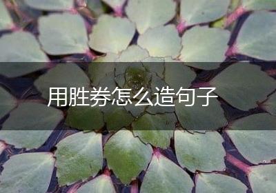 用胜券怎么造句子