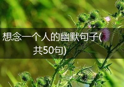 想念一个人的幽默句子(共50句)
