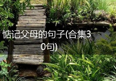 惦记父母的句子(合集30句)