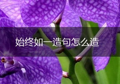 始终如一造句怎么造