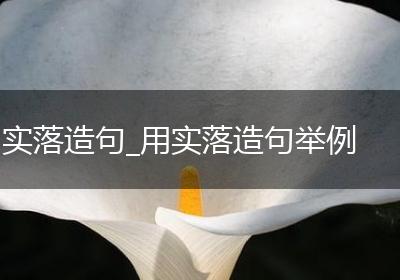 实落造句_用实落造句举例