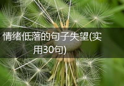 情绪低落的句子失望(实用30句)