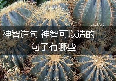 神智造句 神智可以造的句子有哪些