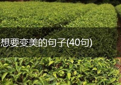 想要变美的句子(40句)