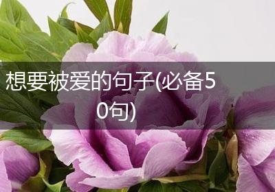 想要被爱的句子(必备50句)