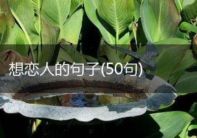 想恋人的句子(50句)
