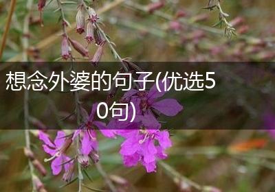 想念外婆的句子(优选50句)