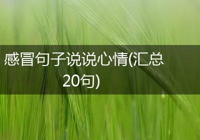 感冒句子说说心情(汇总20句)