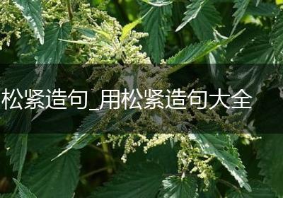 松紧造句_用松紧造句大全