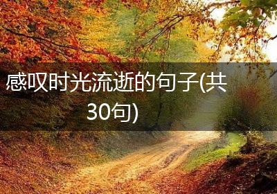 感叹时光流逝的句子(共30句)