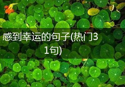 感到幸运的句子(热门31句)
