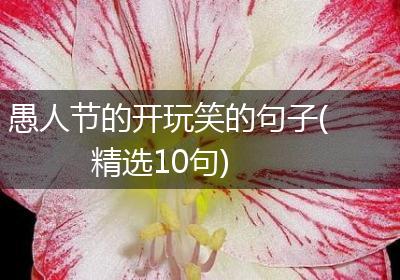 愚人节的开玩笑的句子(精选10句)