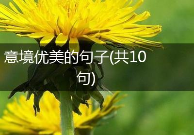 意境优美的句子(共10句)