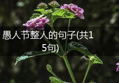 愚人节整人的句子(共15句)