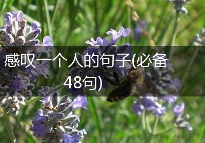 感叹一个人的句子(必备48句)