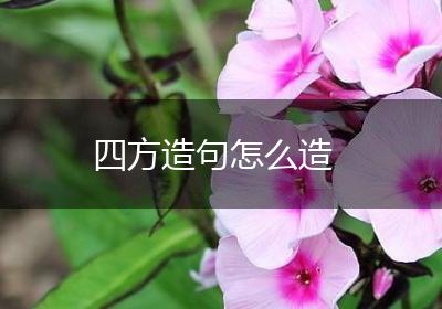 四方造句怎么造