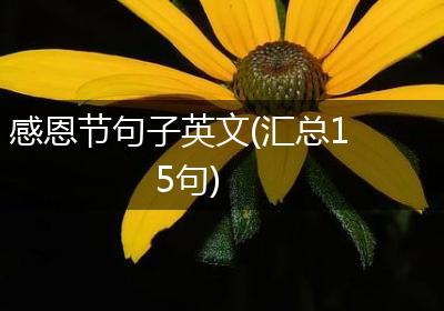 感恩节句子英文(汇总15句)
