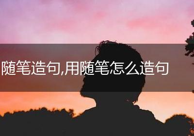 随笔造句,用随笔怎么造句
