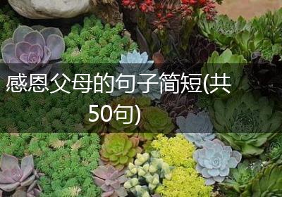感恩父母的句子简短(共50句)