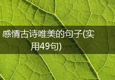 感情古诗唯美的句子(实用49句)